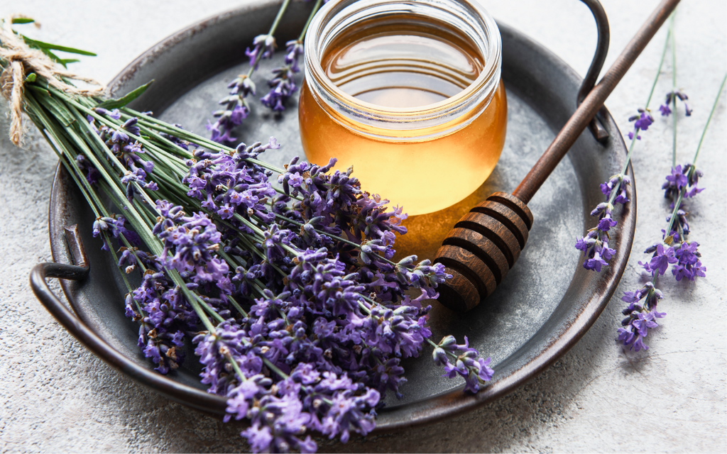 7 Must-Know Herbs to Promote Natural Pain Relief
