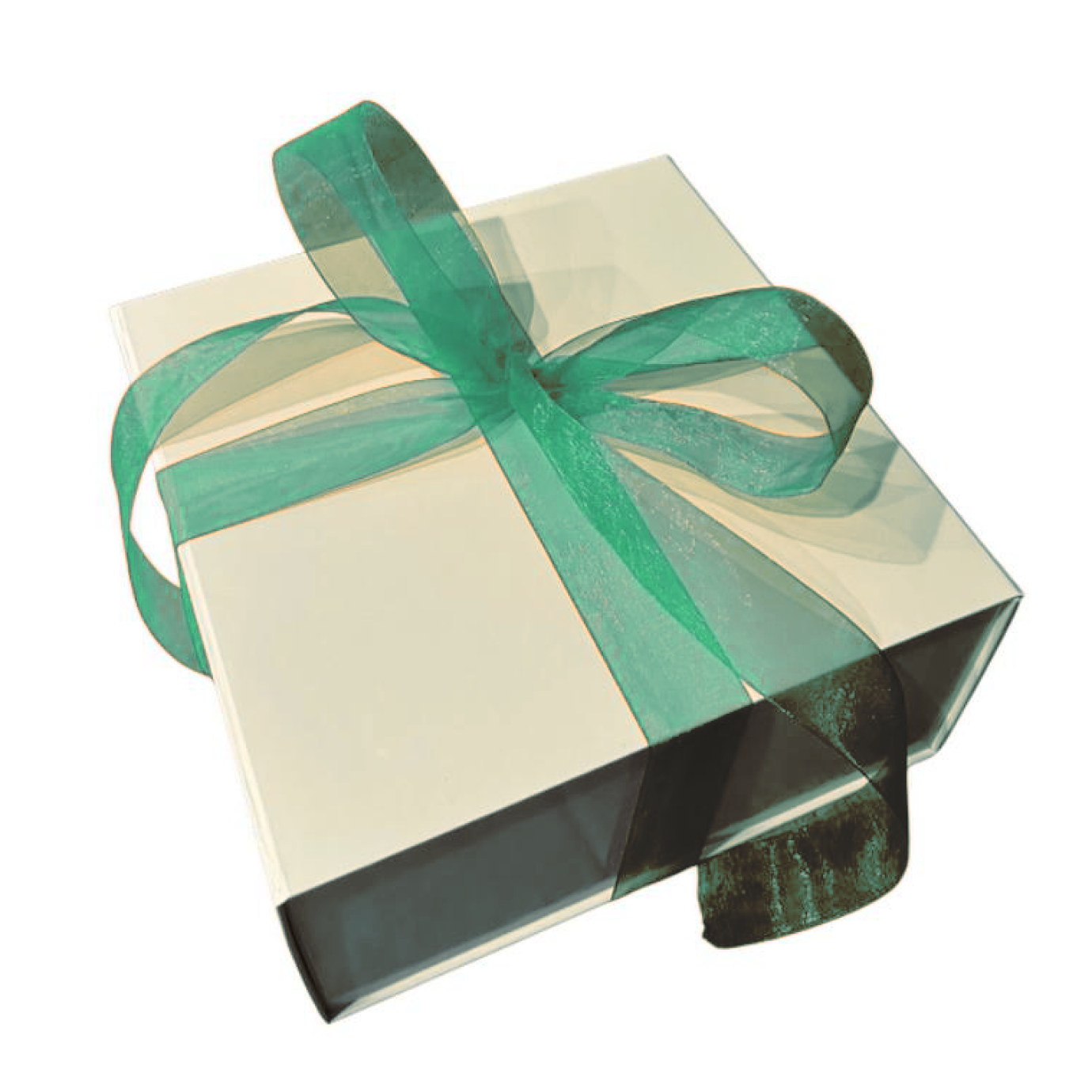The Taurus Wellness Box