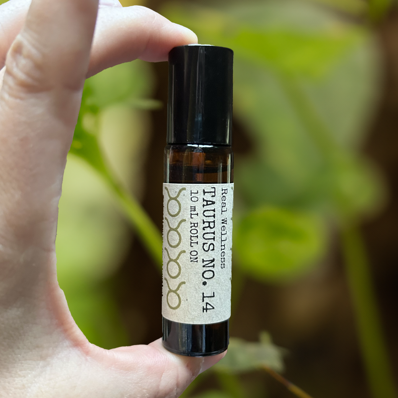 The Taurus Wellness Box