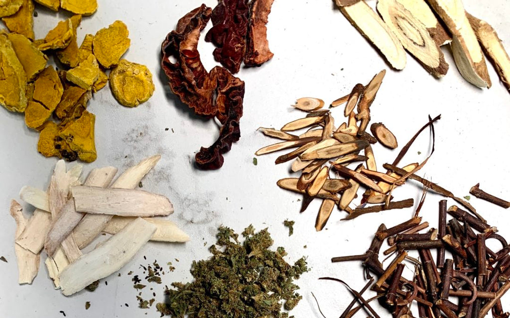 Incorporating Chinese Medicine into Your Daily Wellness Routine